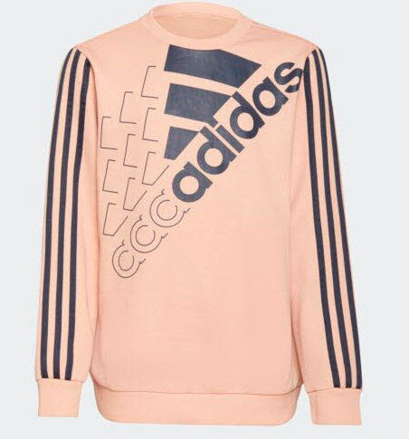 Adidas LOGO SWEAT K Kids Shirt langarm