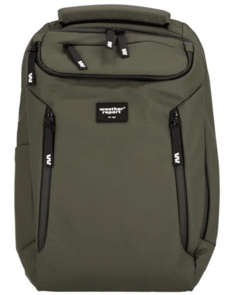 weather report Bronze PU Computer Backpack Rucksack