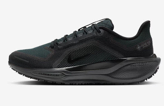 Nike Pegasus 41 GORE-TEX Herren Straßenlaufschuh